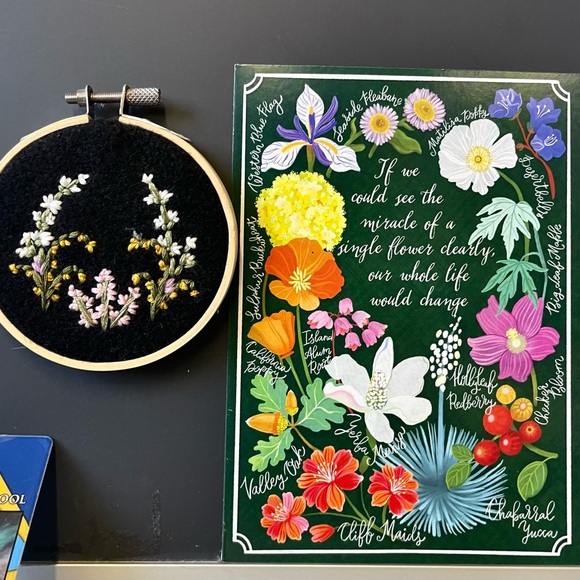 Hello + Welcome to my Little Homestead 👋 - Picture 4 of 16